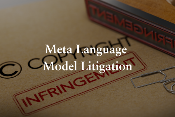 Meta Language Model Litigation