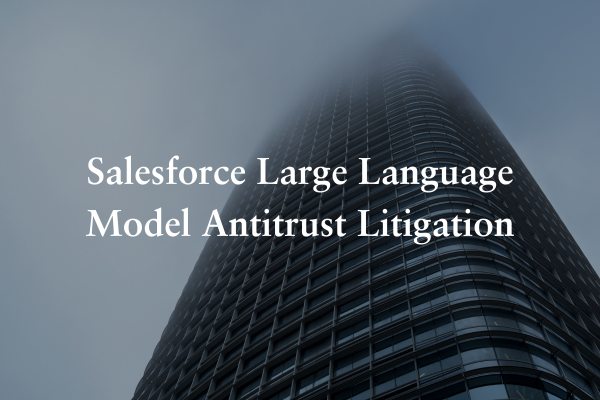 Salesforce Large Language Model Antitrust Litigation