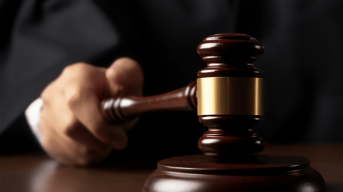 Saveri Visa Case Images